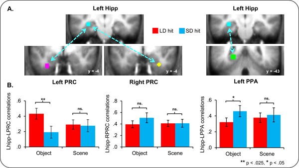 PRC-hippocampus connectivity after learning figure