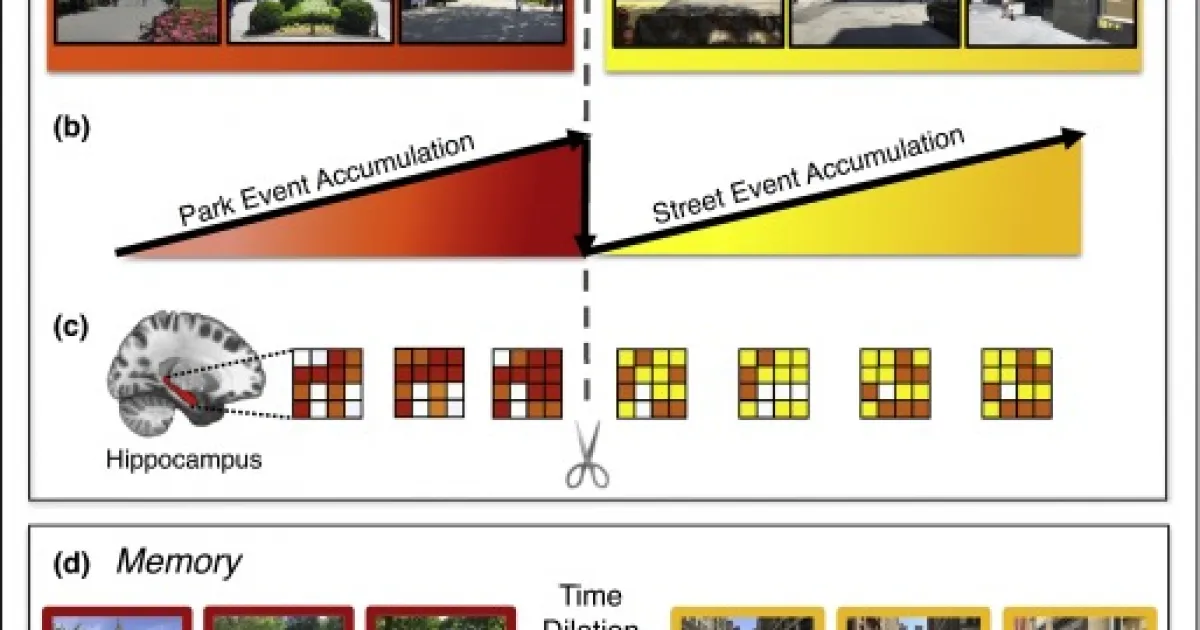 What is an ’episode’ in episodic memory? Role of context and event ...
