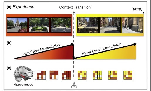 event segmentation figure